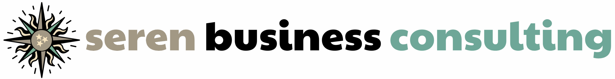 Seren Business Consulting